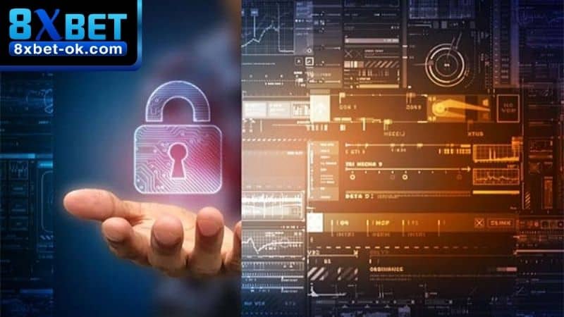 Dữ liệu người dùng 8XBET